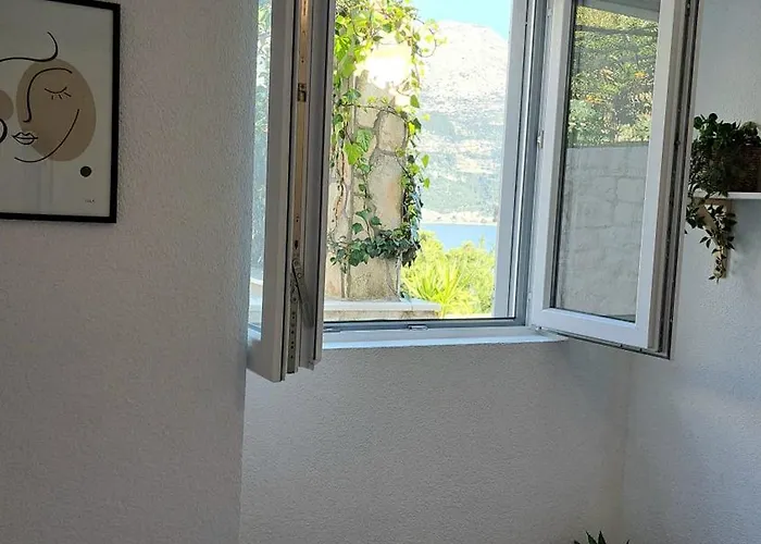 公寓 Amore 科尔丘拉