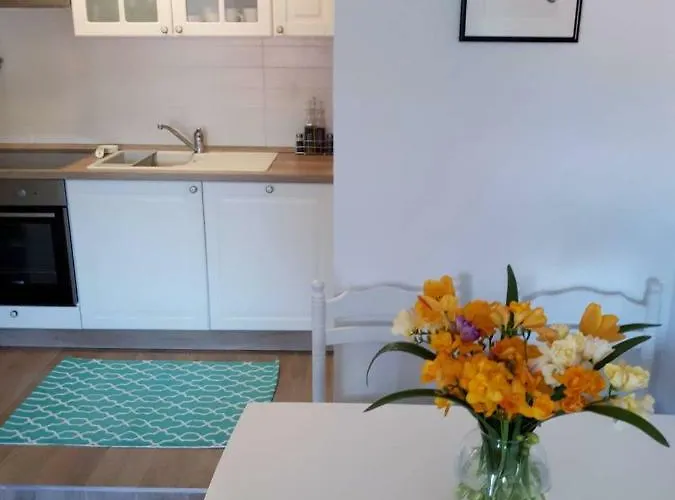 Amore * 科尔丘拉