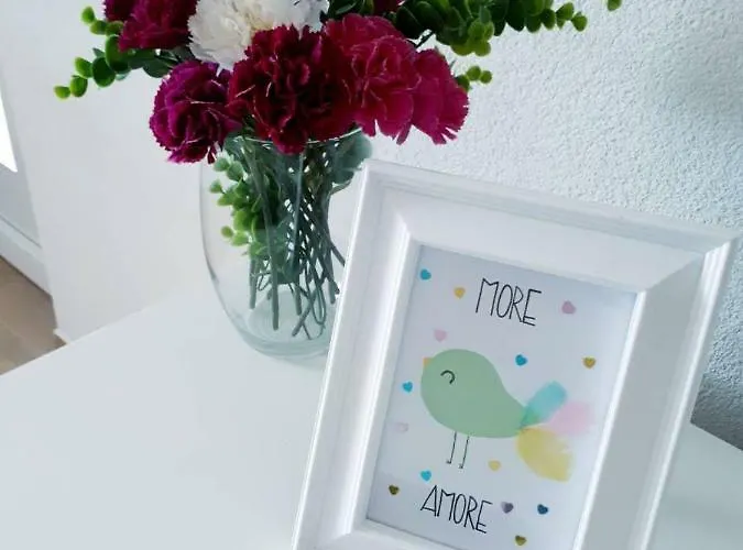 Amore * 科尔丘拉