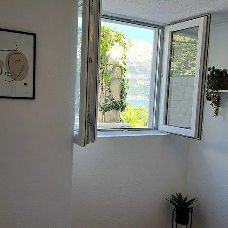 アパート Amore コルチュラ