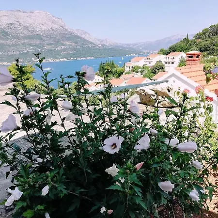 Amore * Korcula Town